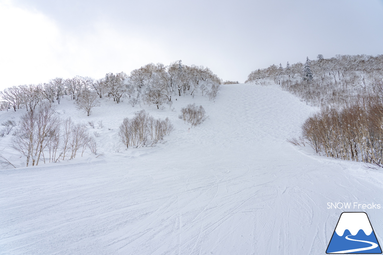 札幌国際スキー場｜３月の平日。粉雪コンディション、ゴンドラ＆リフト待ち無し、もちろん、ゲレンデも混雑無し。要するに、最高です(^_-)-☆